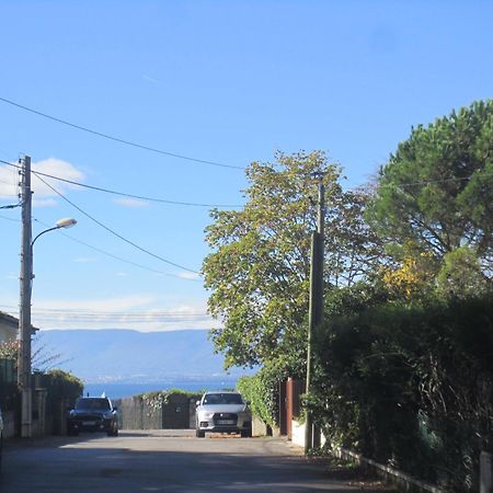 Villa La Moraine Thonon-les-Bains Kültér fotó