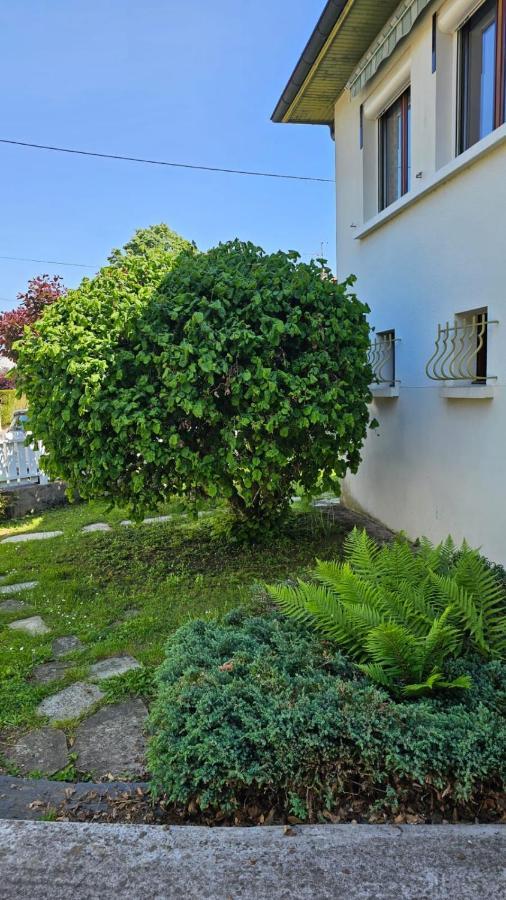 Villa La Moraine Thonon-les-Bains Kültér fotó