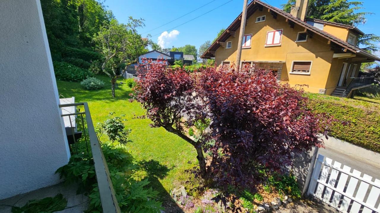 Villa La Moraine Thonon-les-Bains Kültér fotó